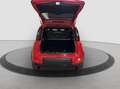 Fiat Panda 1.0 firefly 70cv hybrid Sport 2021 Rosso - thumbnail 14