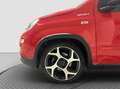 Fiat Panda 1.0 firefly 70cv hybrid Sport 2021 Rosso - thumbnail 6