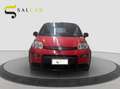 Fiat Panda 1.0 firefly 70cv hybrid Sport 2021 Rosso - thumbnail 2
