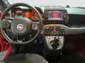 Fiat Panda 1.0 firefly 70cv hybrid Sport 2021 Rosso - thumbnail 9