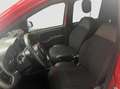 Fiat Panda 1.0 firefly 70cv hybrid Sport 2021 Rosso - thumbnail 7
