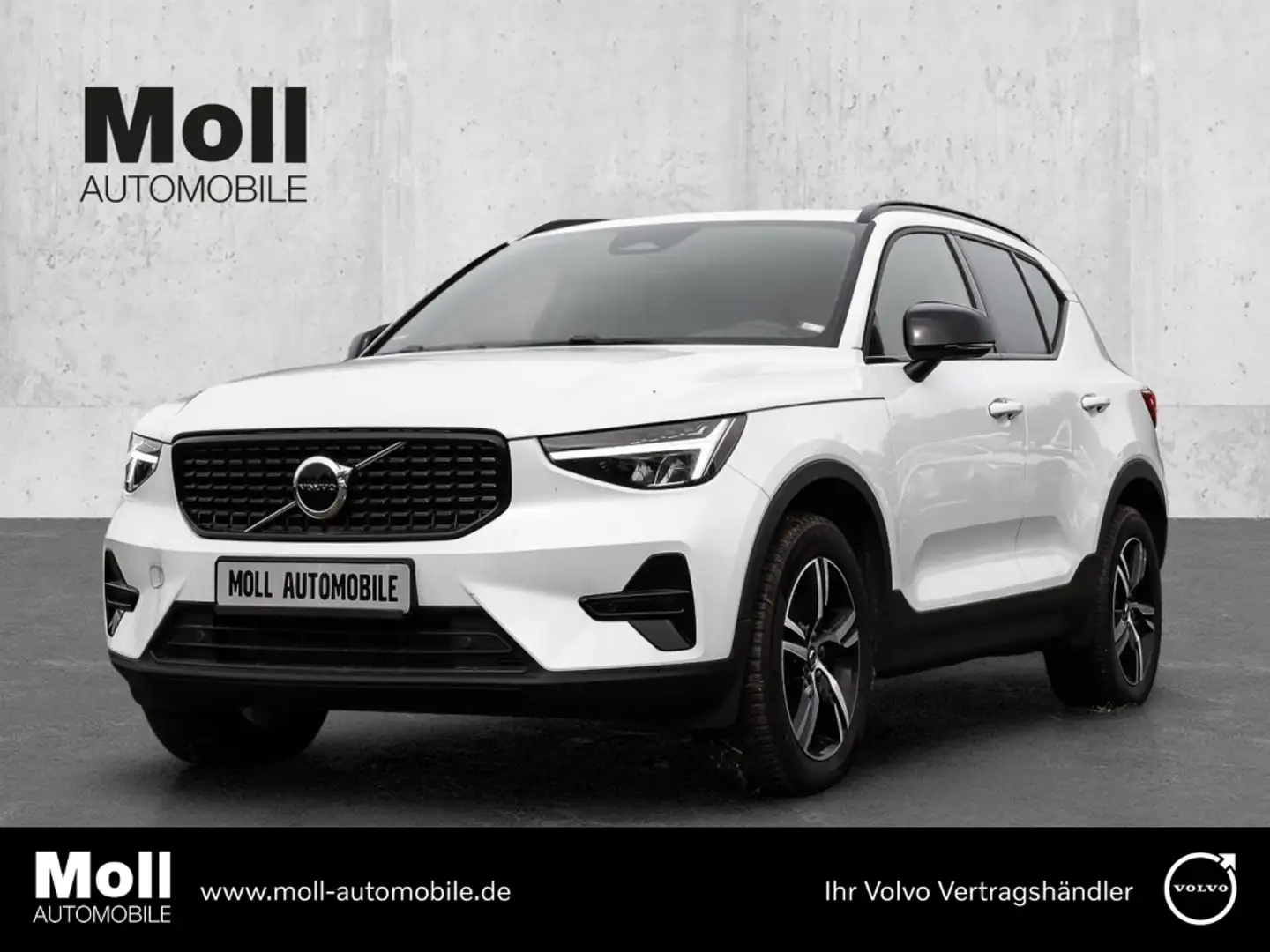 Volvo XC40 Plus Dark 2WD B3 EU6d digitales Cockpit Memory Sit Weiß - 1