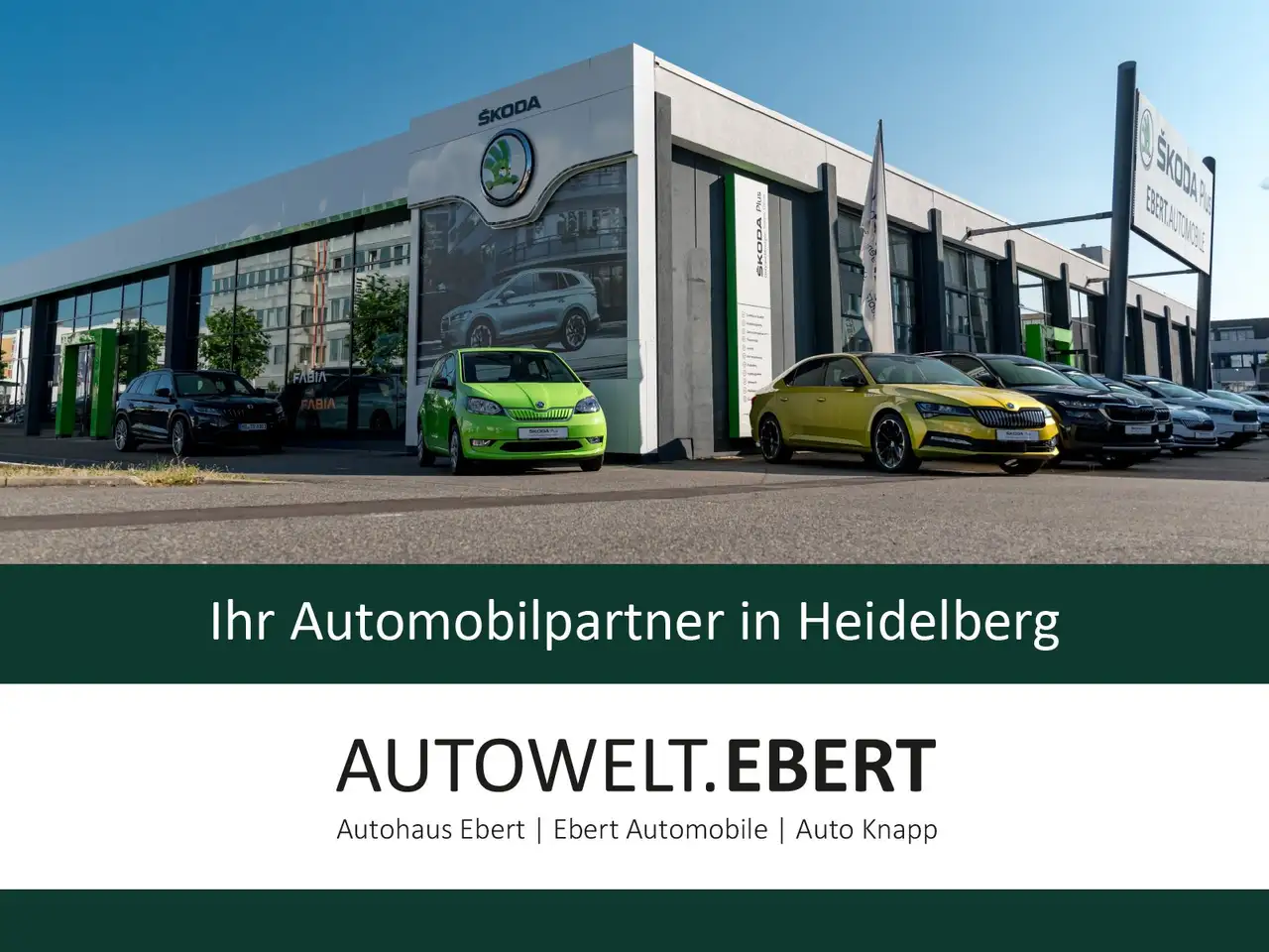 Skoda Kodiaq 2.0 TDI Tour 4x4/AHK/360°CAM/ACC/VIRTUAL/ 19