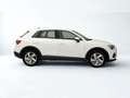 Audi Q3 Q3 2022 35 2.0 tdi s-tronic Weiß - thumbnail 7
