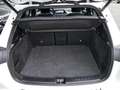 Mercedes-Benz EQA 300 4M Progressive/LED/360/AHK/Distr/Mopf/18 Bianco - thumbnail 15
