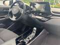 Toyota C-HR Hybrid Team Deutschland Allwetter & Dashcam Schwarz - thumbnail 9