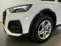 Audi Q5 40 TDI quattro *SPORTBACK*ACC*TOTWINK*VIRTUAL* Weiß - thumbnail 12