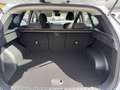 Hyundai TUCSON NX4 Smart Line 1,6 T-GDi HEV 2WD Weiß - thumbnail 12