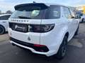 Land Rover Discovery Sport R-Dynamic Blanc - thumbnail 5