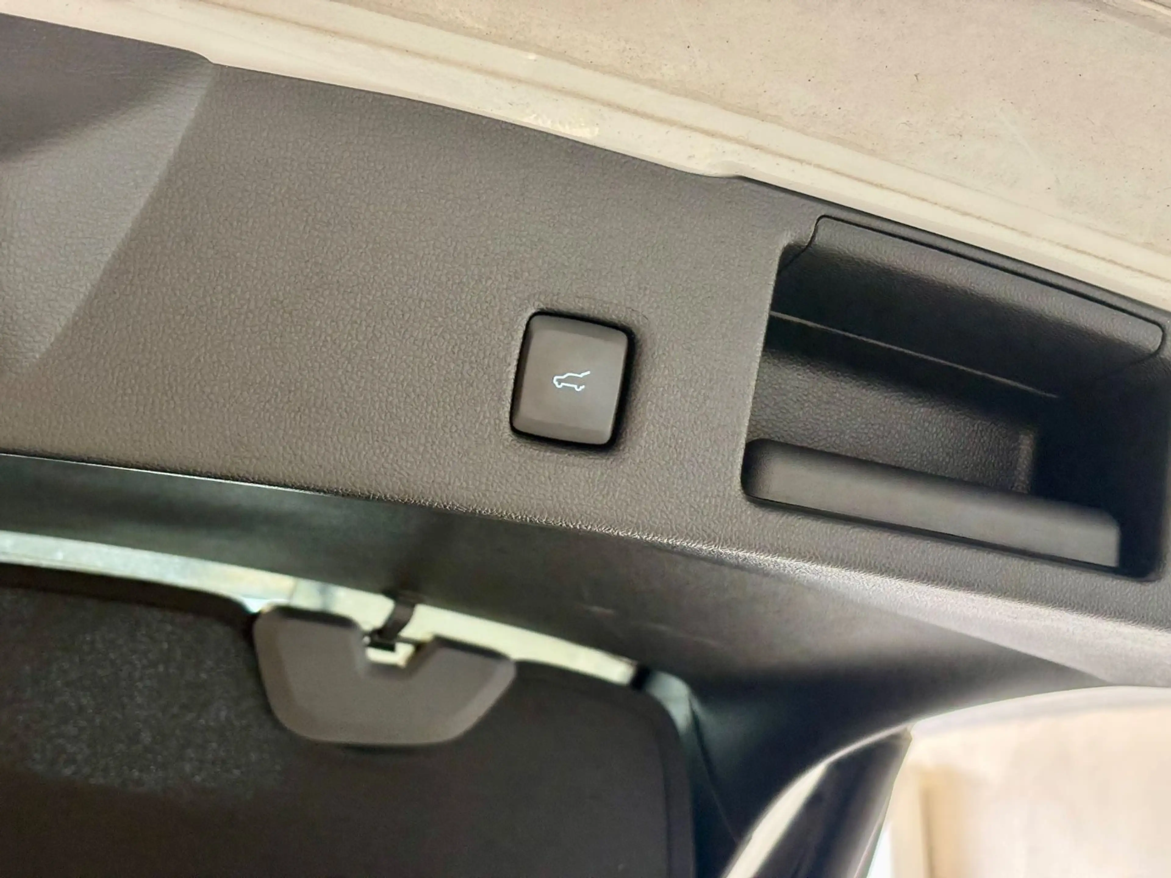 Ford Kuga 2.0 EcoBlue Hybrid ST-Line X — photo 8