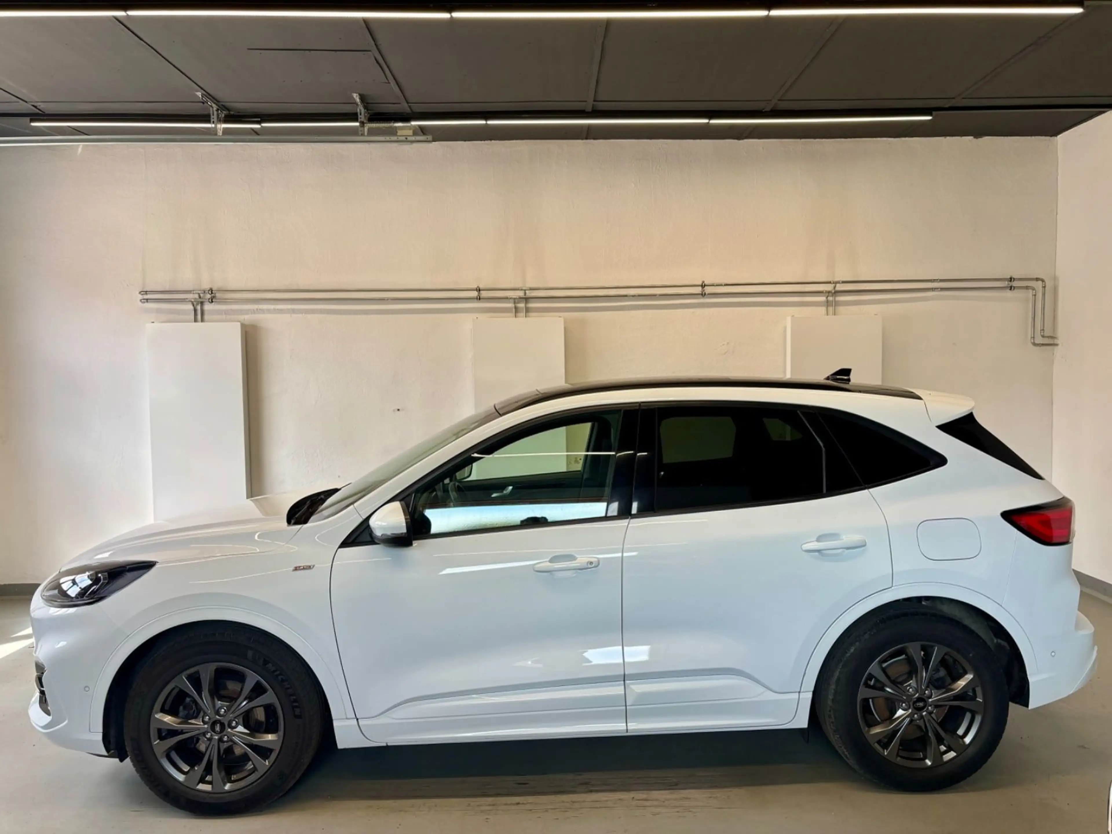 Ford Kuga 2.0 EcoBlue Hybrid ST-Line X — photo 3