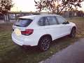 BMW X5 X5+sdrive25d+218cv Bianco - thumbnail 14