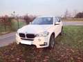 BMW X5 X5+sdrive25d+218cv Bianco - thumbnail 1