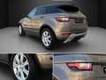 Land Rover Range Rover Evoque 2.0TD4 SE Dynamic 4WD Aut. 150 Beige - thumbnail 8