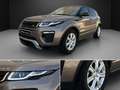 Land Rover Range Rover Evoque 2.0TD4 SE Dynamic 4WD Aut. 150 Beige - thumbnail 9