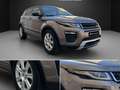 Land Rover Range Rover Evoque 2.0TD4 SE Dynamic 4WD Aut. 150 Beige - thumbnail 7