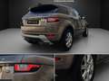 Land Rover Range Rover Evoque 2.0TD4 SE Dynamic 4WD Aut. 150 Beige - thumbnail 10