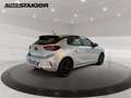 Opel Corsa F 1.2 Rückfahrkamera LHZ SHZ Grau - thumbnail 7