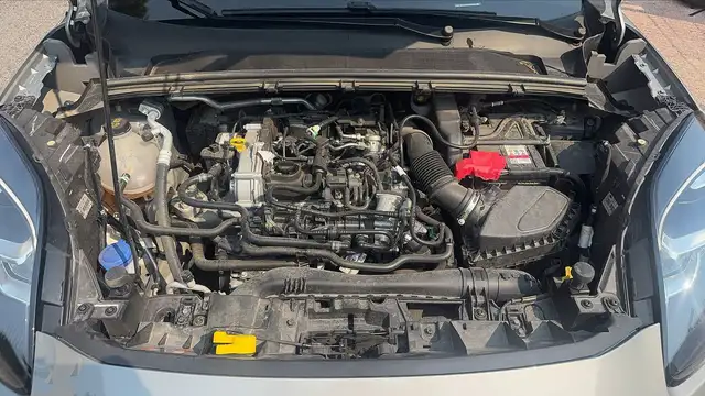 Ford Puma view 15