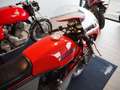 MV Agusta 350 S Ipotesi Rosso - thumbnail 5