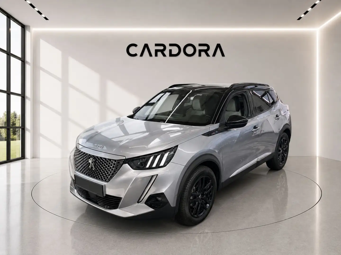 Peugeot 2008 50kWh (e-)GT-Line*LED*LEDER Grau - 1