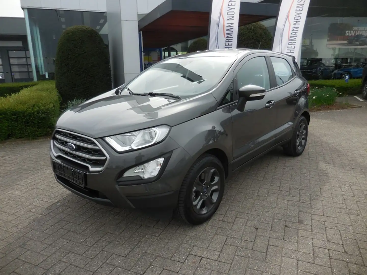 Ford EcoSport EcoBoost Connected Grey - 1