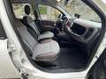 Fiat Panda 1.0 City Cross Plus Hybrid Bianco - thumbnail 12