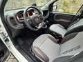 Fiat Panda 1.0 City Cross Plus Hybrid Bianco - thumbnail 10