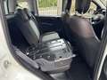 Fiat Panda 1.0 City Cross Plus Hybrid Bianco - thumbnail 15