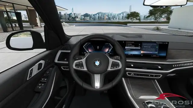 BMW X5 X5 view 12