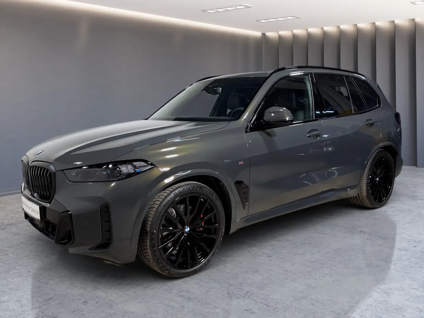 BMW X5 X5 xDrive30d Gris - 2