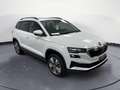 Skoda Karoq Karoq 1.0 TSI 110 CV Executive Blanc - thumbnail 3