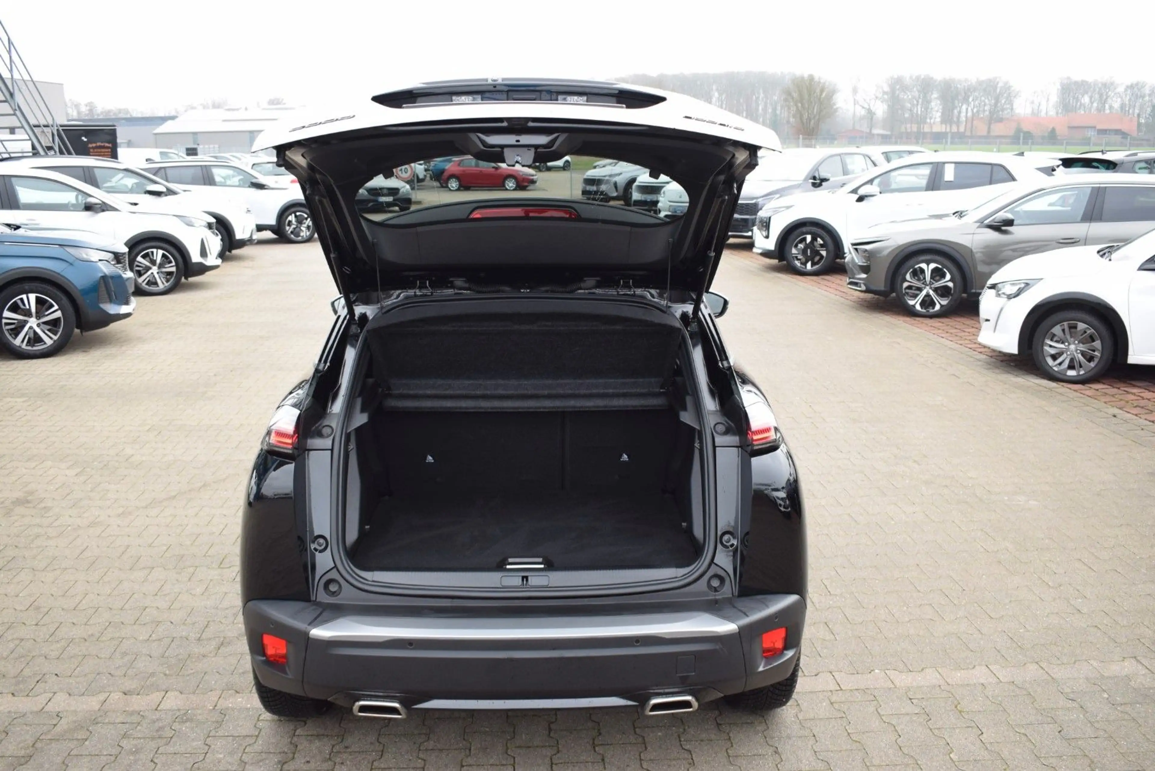 Peugeot 2008 Hybrid 145 LED/Navi/ACC/SHZ/360-Grad — photo 5