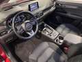 Mazda CX-5 SKYACTIV-G 2WD *SPORTS-LINE*360°-HUD-BOSE Rot - thumbnail 22