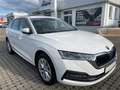 Skoda Octavia Style Edition TDI S-HEIZ+AHZV+MATRIX White - thumbnail 4