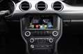Ford Mustang 5.0 V8 GT/COYOTE/TEMP/BTH/MFL/KLIMA/R20 Grau - thumbnail 14