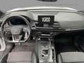 Audi Q5 SUV Sport 45 TFSI quattro S tronic AHZV B&O Weiß - thumbnail 7