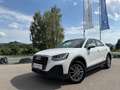 Audi Q2 35 TDI quattro S-tronic Blanc - thumbnail 14