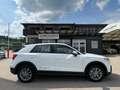 Audi Q2 35 TDI quattro S-tronic Blanc - thumbnail 20
