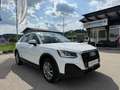 Audi Q2 35 TDI quattro S-tronic Weiß - thumbnail 21