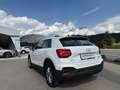 Audi Q2 35 TDI quattro S-tronic Weiß - thumbnail 13