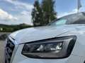 Audi Q2 35 TDI quattro S-tronic Weiß - thumbnail 8