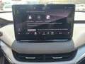 Skoda Enyaq iV 80 Loft, Assistenz-Paket Plus, 360 Grad Kameras Grau - thumbnail 14