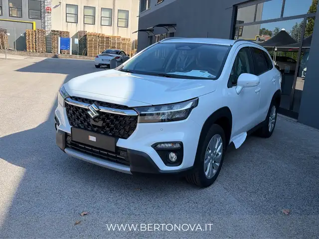 Suzuki S-Cross view 11