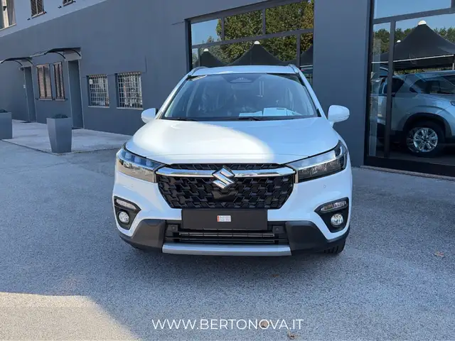 Suzuki S-Cross view 12
