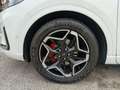 Ford Kuga ST Line X 2.5 Duratec FHEV HEV Bianco - thumbnail 8