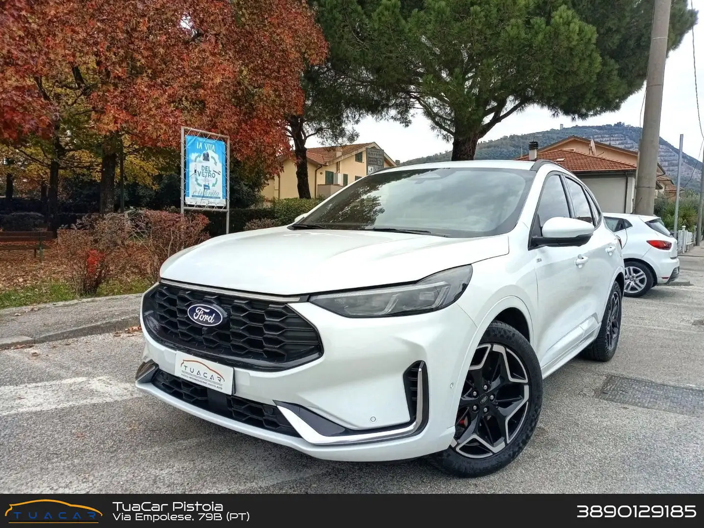 Ford Kuga ST Line X 2.5 Duratec FHEV HEV Bianco - 1