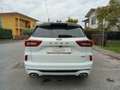 Ford Kuga ST Line X 2.5 Duratec FHEV HEV Bianco - thumbnail 5