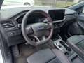 Ford Kuga ST Line X 2.5 Duratec FHEV HEV Bianco - thumbnail 9