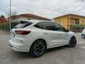 Ford Kuga ST Line X 2.5 Duratec FHEV HEV Bianco - thumbnail 4